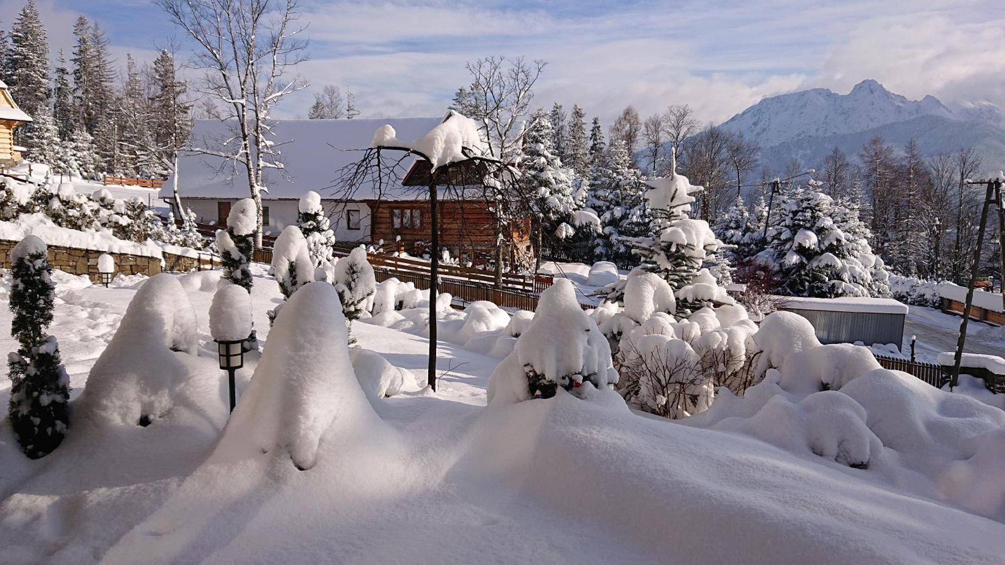 Ferienwohnung Apartament Z Widokowym Tarasem Na Tatry Kościelisko Exterior foto